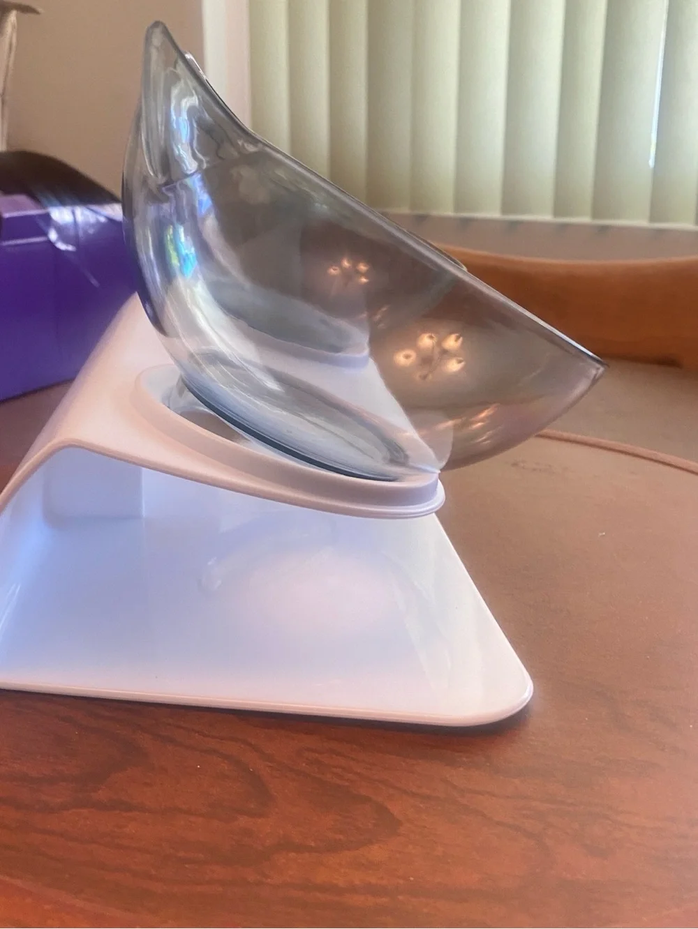 Clear Twin Cat Bowls on snap into slightly titled Raised Stand.